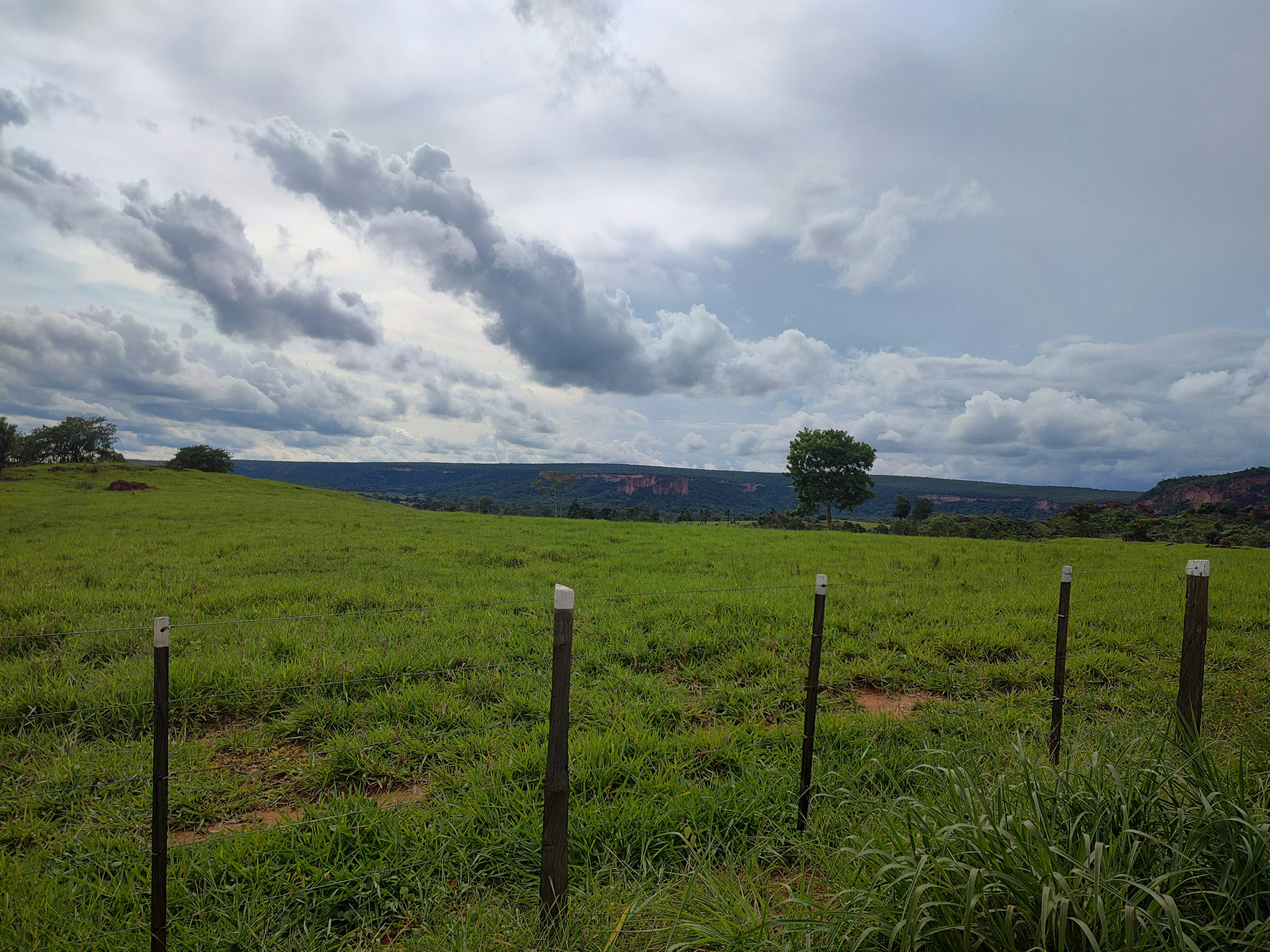 Paisagem rural brasileira com pastagem